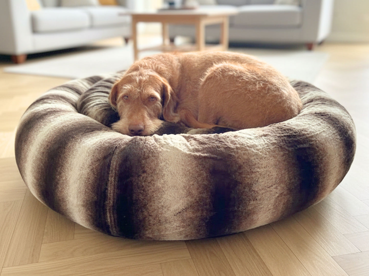 dog resting in brown and beige calming donut dog bed by collared creatures