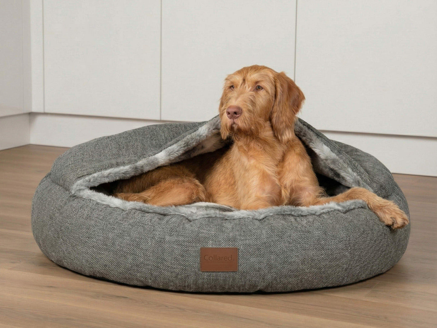 Dog lying in a gray pet bed on a wooden floor.