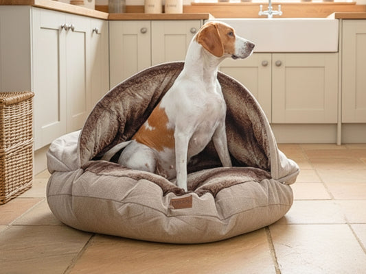 Dog sitting inside a cozy pet cave bed in a kitchen