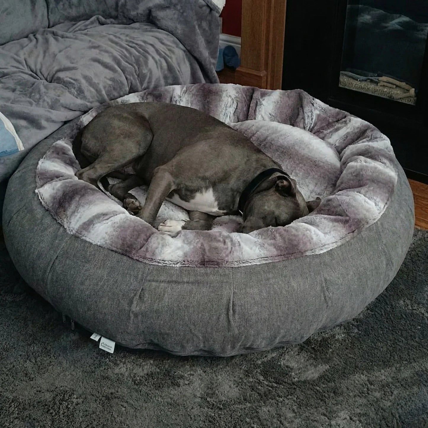 Dog sleeping comfortably in a grey calming donut bed indoors