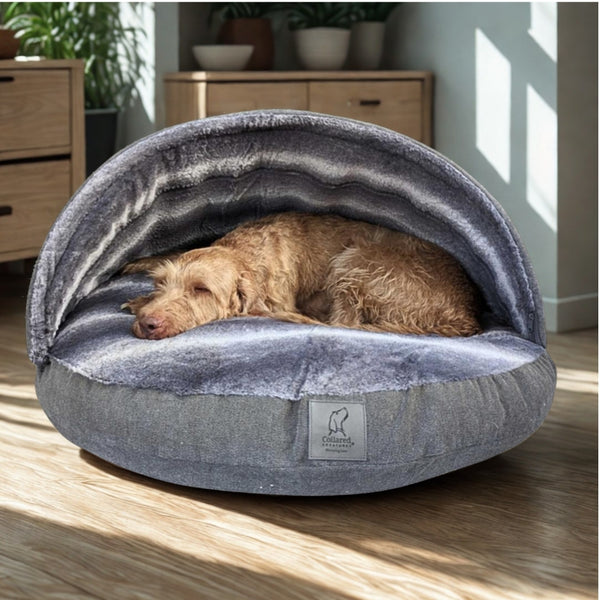 Cave Beds