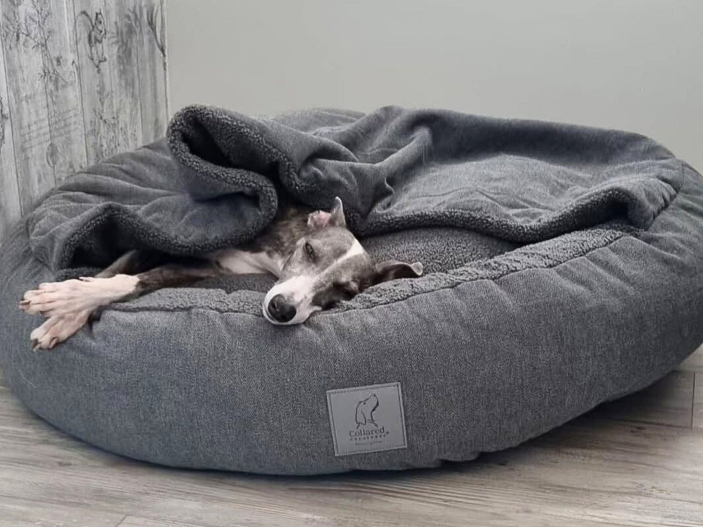 dog resting inside grey classic comfort cocoon dog bed by collared creatures