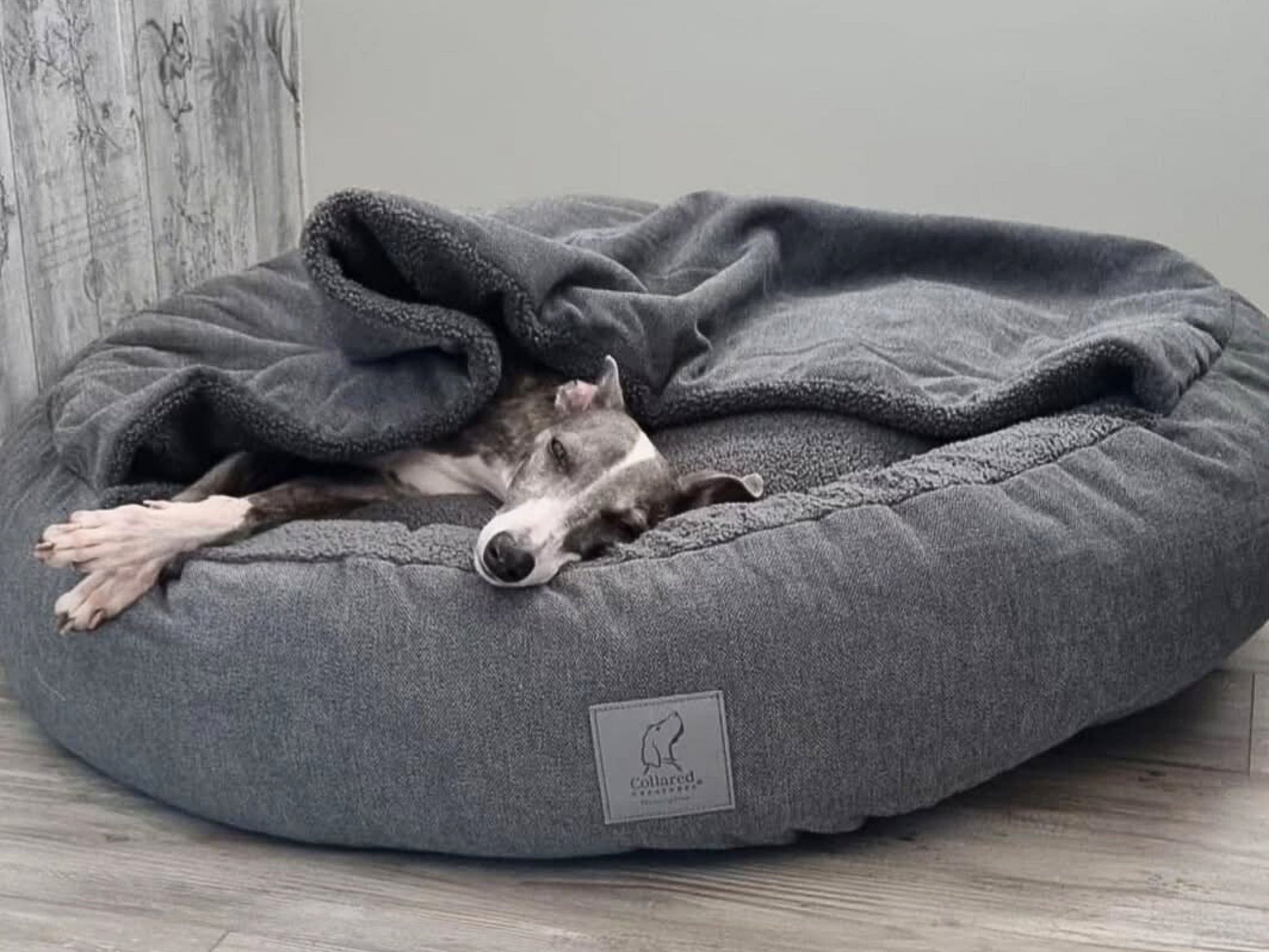 dog resting inside grey classic comfort cocoon dog bed by collared creatures