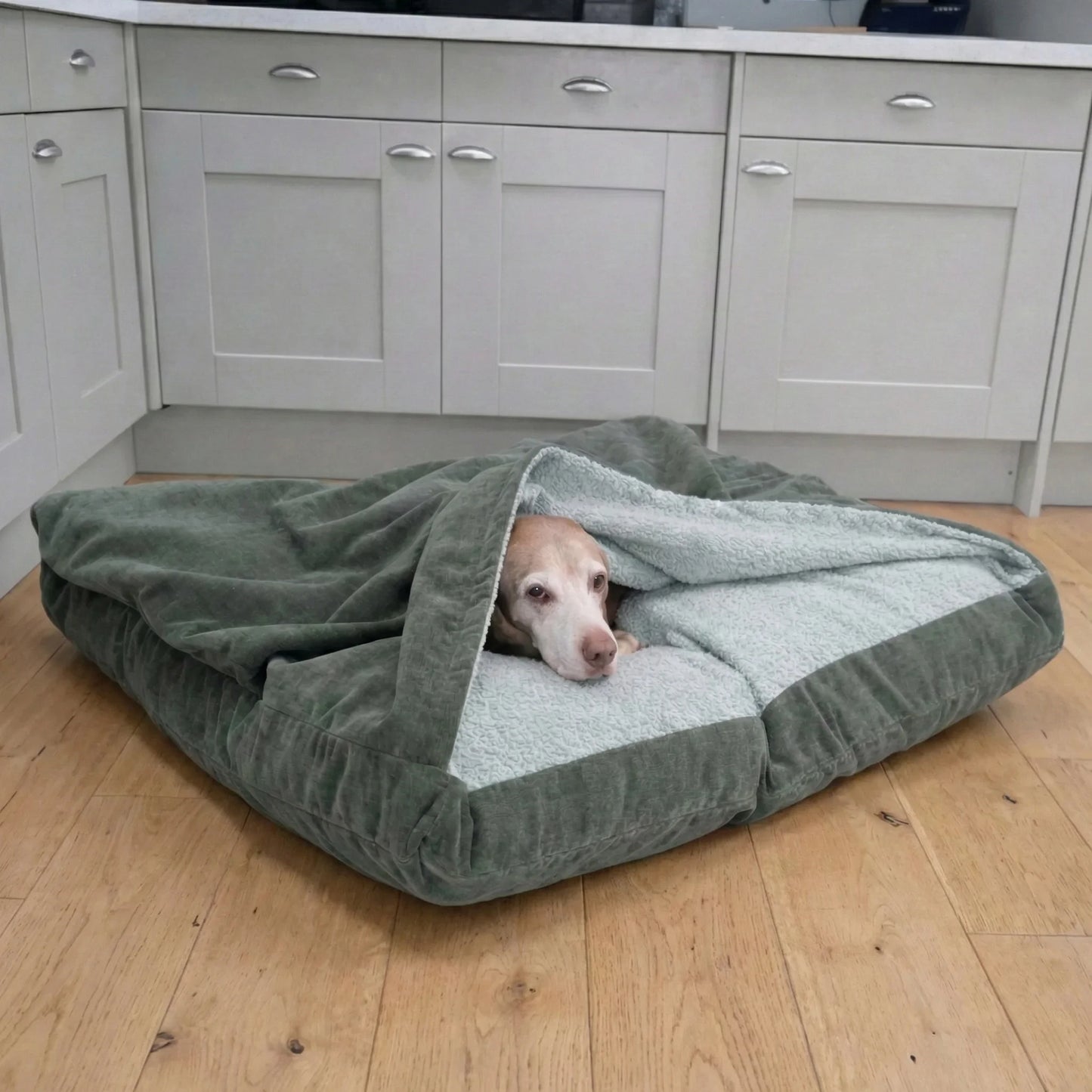 Dog lying inside a large green hooded pet bed in a kitchen