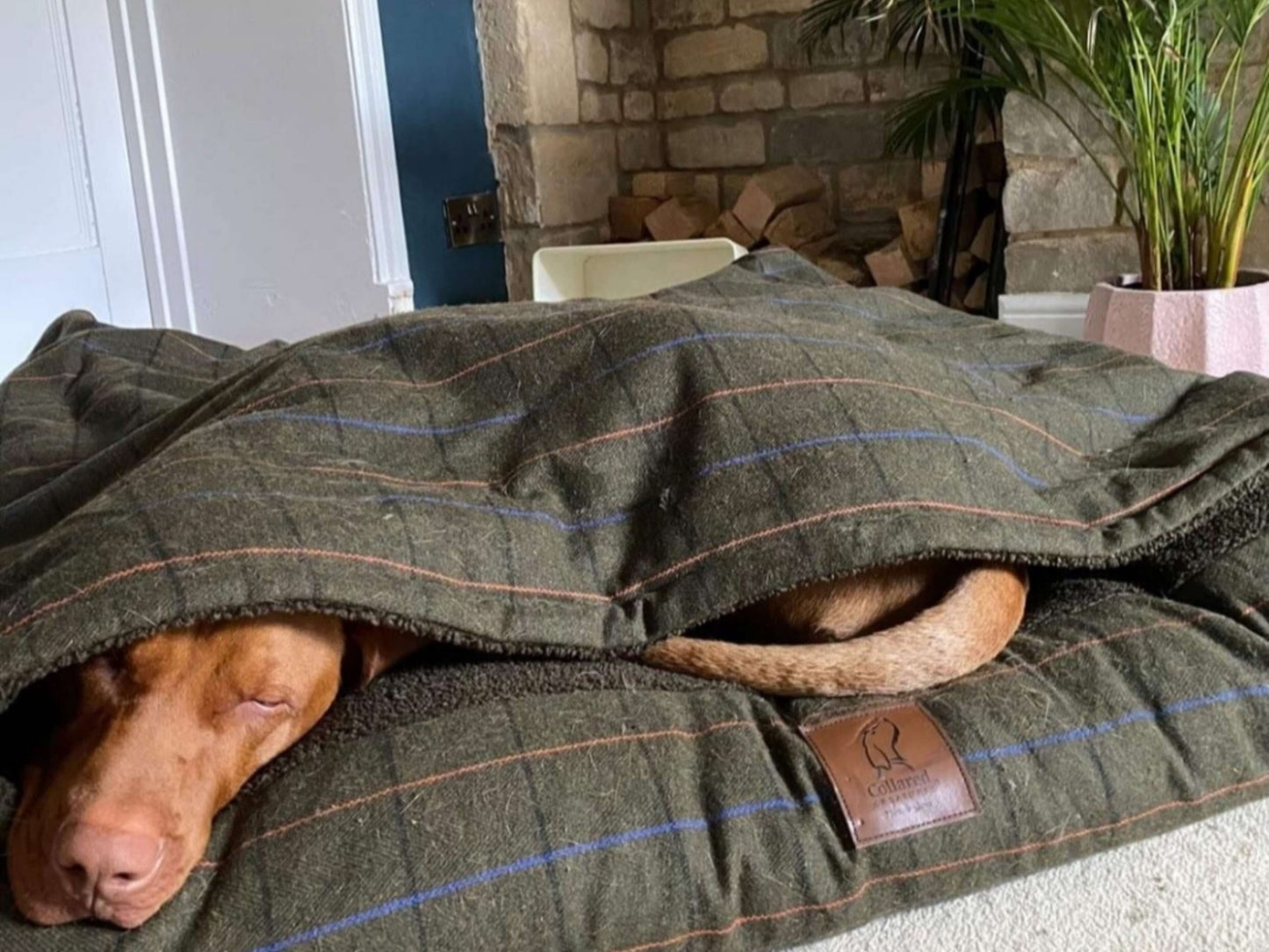 Green Tweed Luxury Dog Snuggle Bed - Snuggle Sack