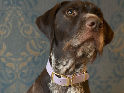 Mauve & Pastel Pink Multicolour Waterproof Biothane Buckle Dog Collar