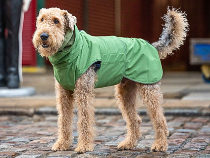 dog waterproof coat raincoat collared creatures