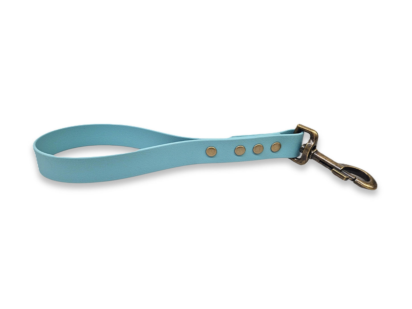 Light blue dog traffic handle with brass hardware on a white background