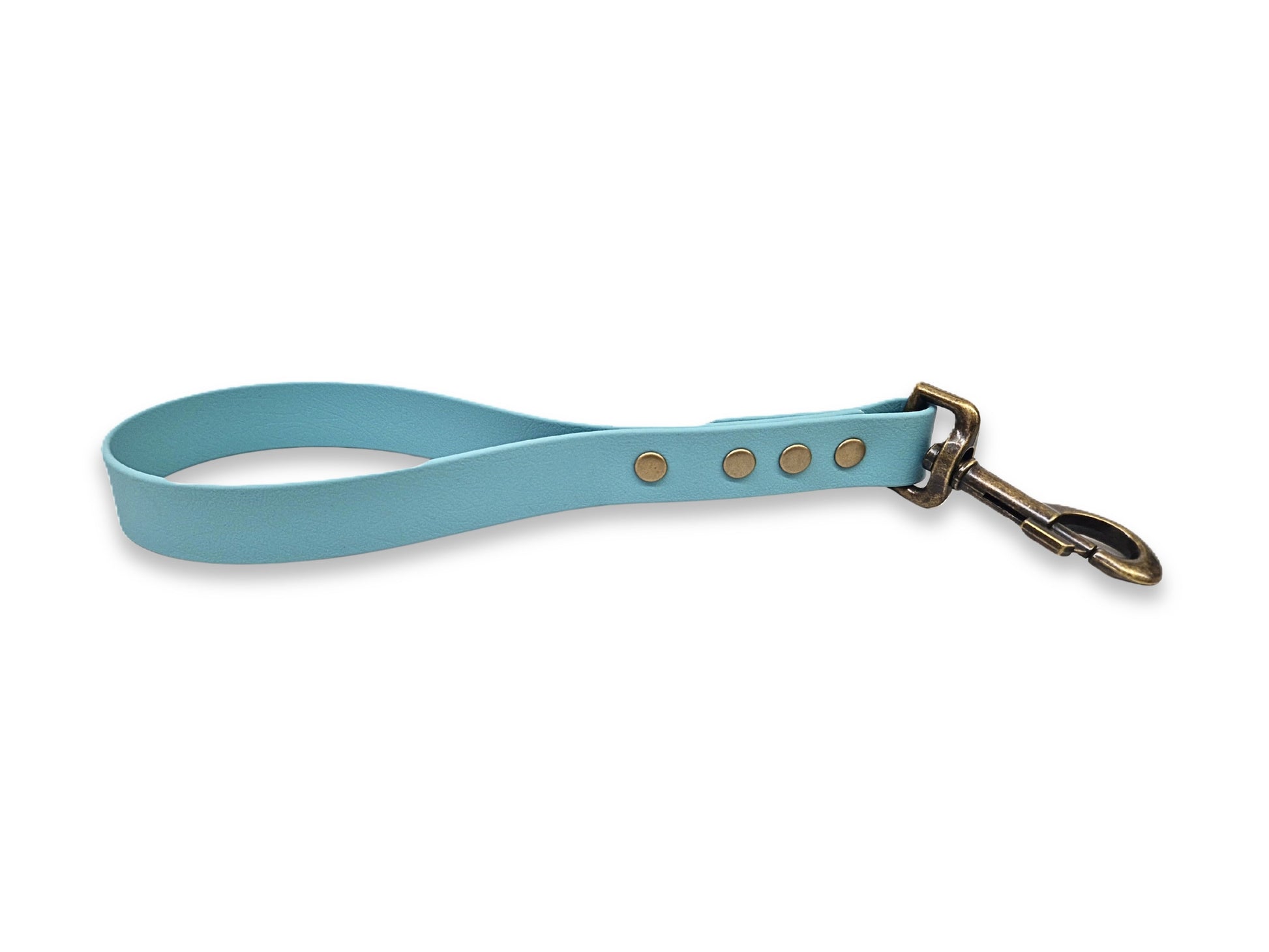 Light blue dog traffic handle with brass hardware on a white background
