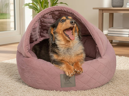 Dog inside a  collared creatures pink cocoon pet bed with a visible brand label, sitting on a carpeted floor.