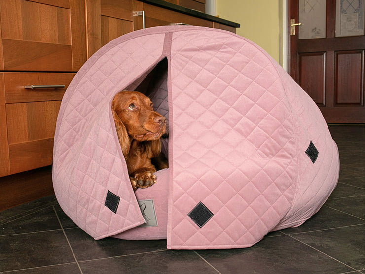 Spaniel peeking from inside a Dusky Pink Cocoon Dog Bed with curtains closed