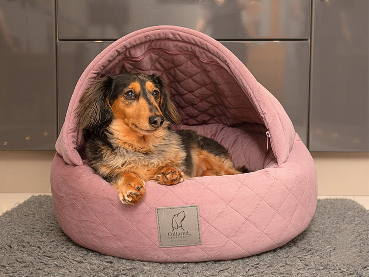 Dachshund relaxing in a Dusky Pink Quilted Velour Cocoon Dog Bed by Collared Creatures
