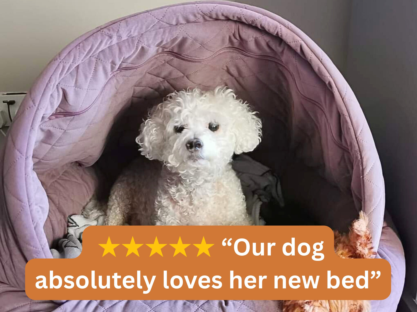 Bichon Frise dog sitting in dusky pink quilted velour cocoon dog bed with customer review text overlay