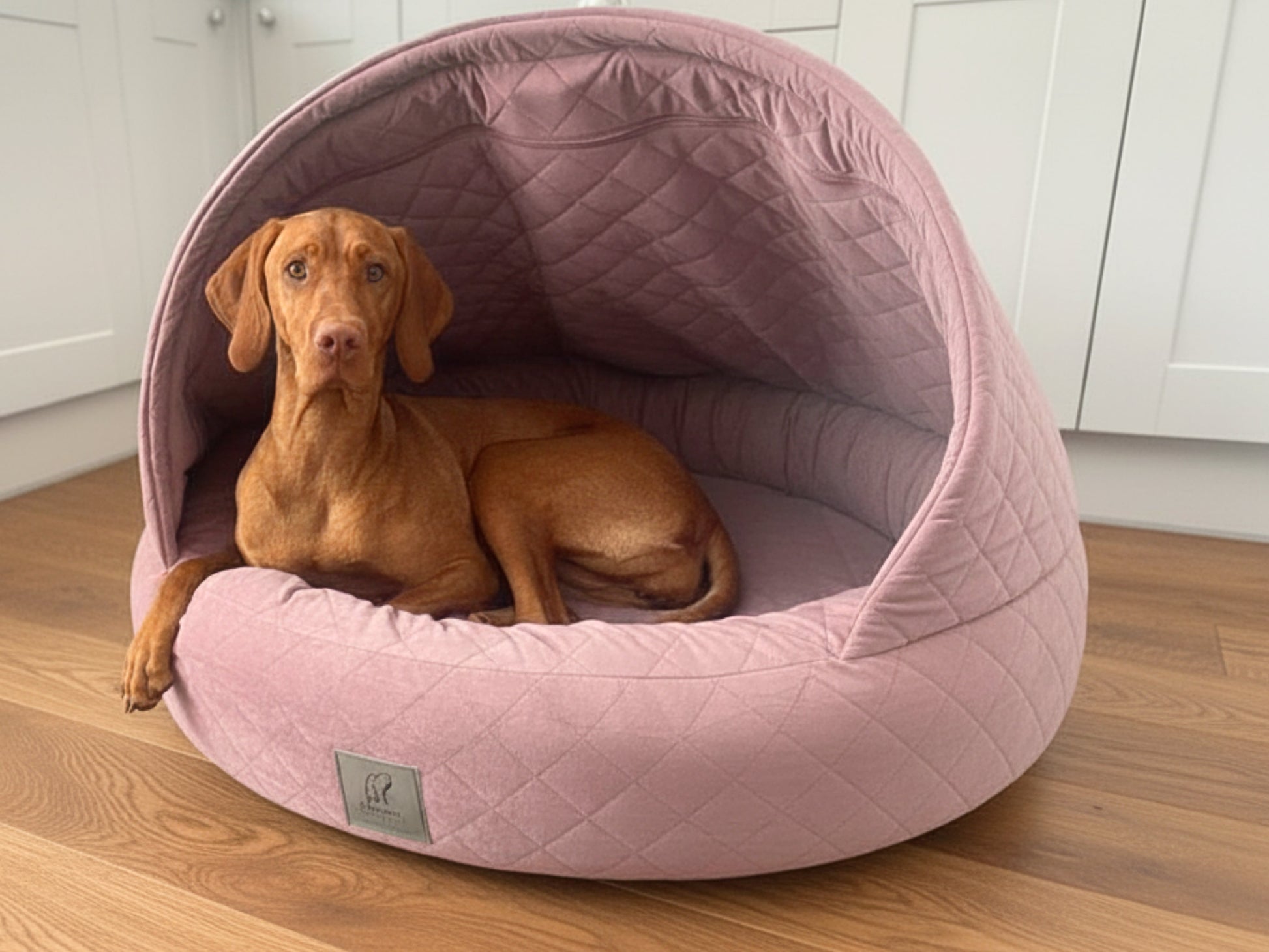 Vizsla dog relaxing in dusky pink quilted velour deluxe cocoon dog bed with open hood