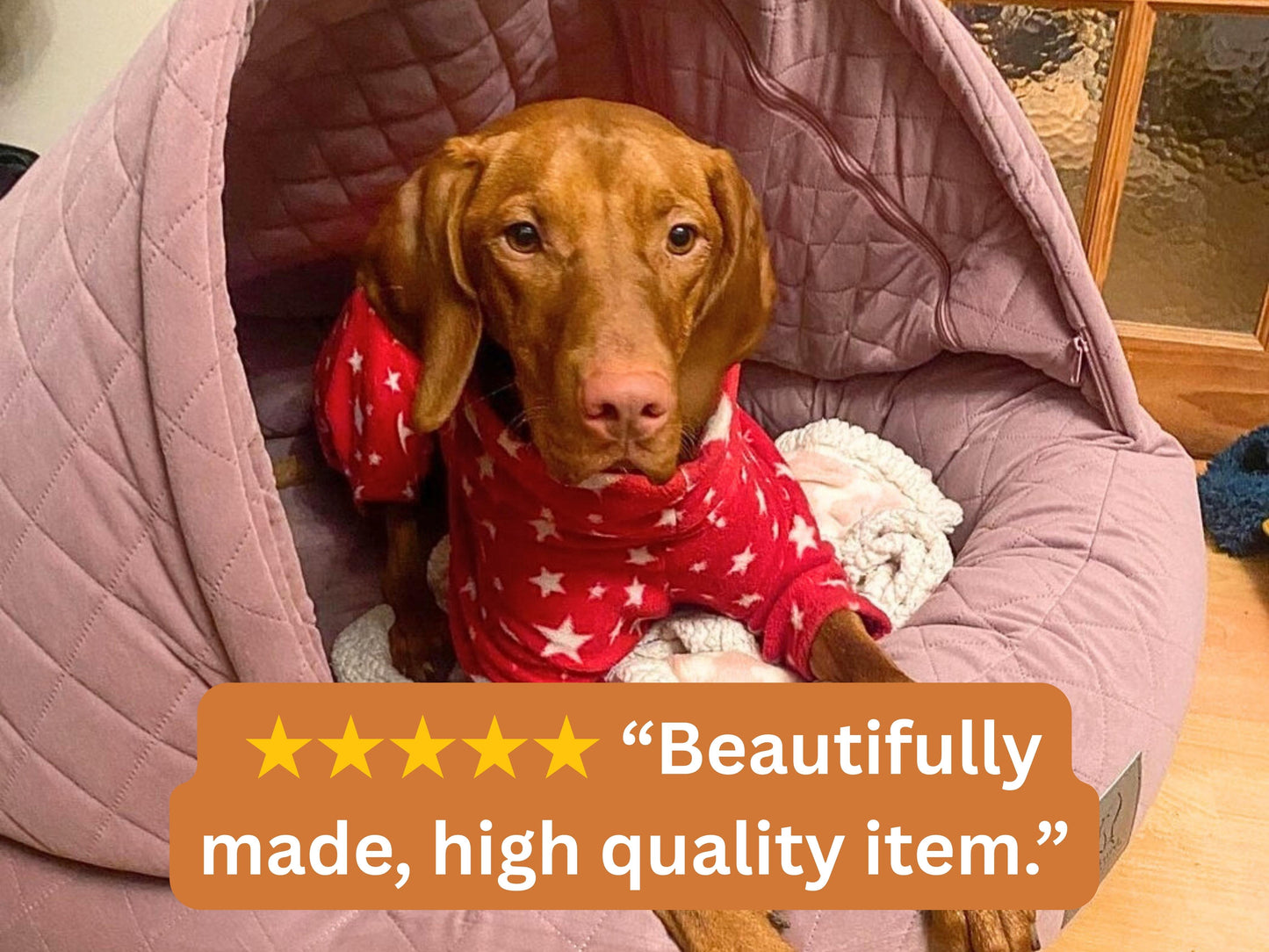 Vizsla dog in red star pyjamas sitting in dusky pink quilted velour cocoon dog bed with customer review text overlay