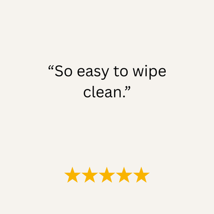 Amethyst Waterproof Biothane Metal Clasp Dog Collar - Collared Creatures LTD