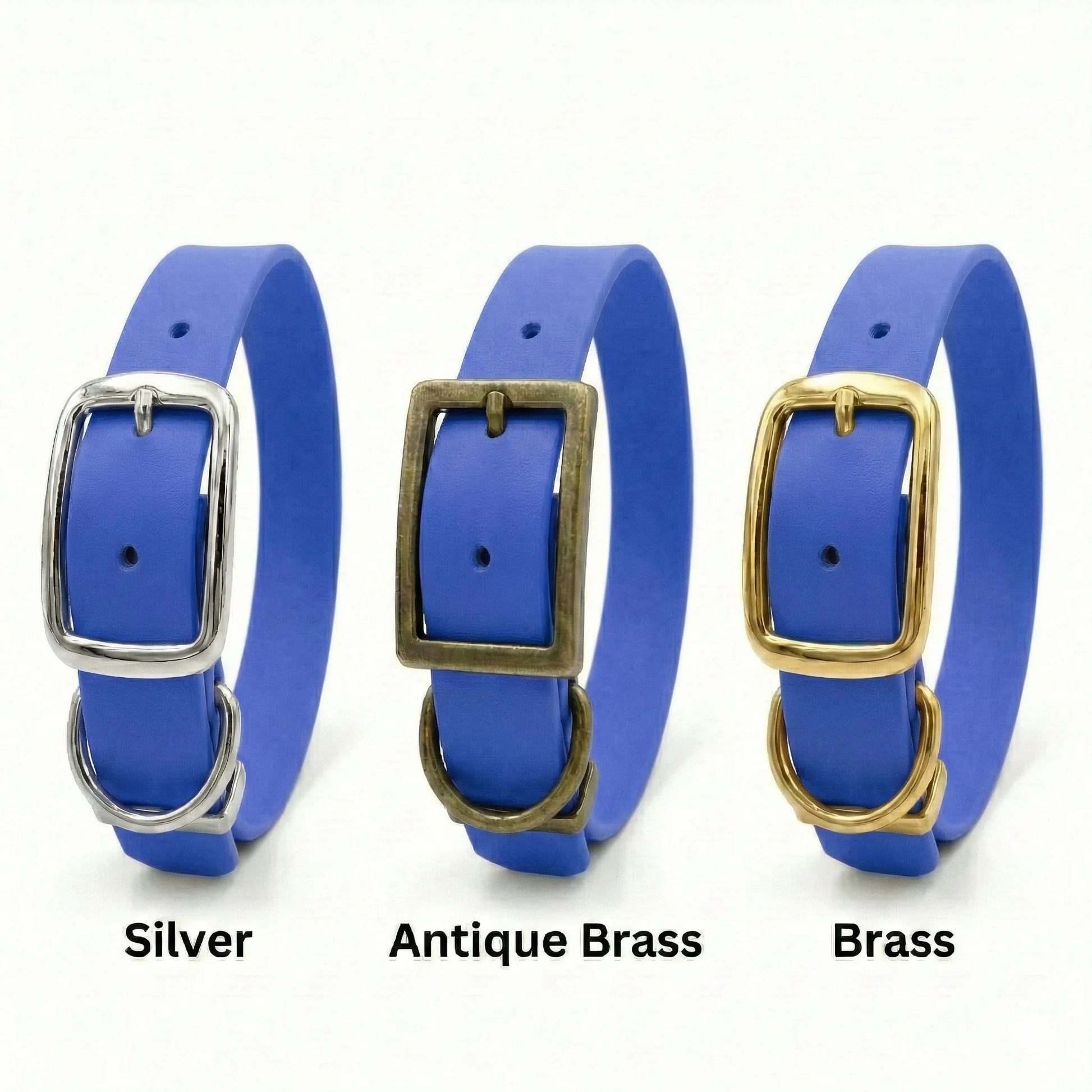 Electric Blue Waterproof Biothane Buckle Dog Collar - Collared Creatures LTD