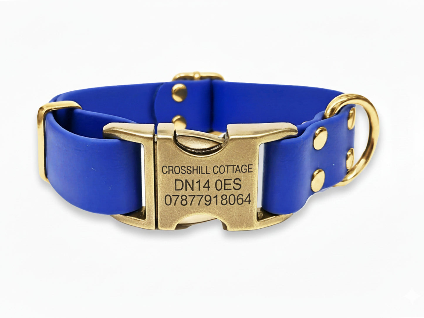 Blue biothane dog collar with a gold buckle on a white background