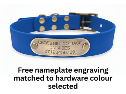 Blue dog collar with a brass nameplate on a white background