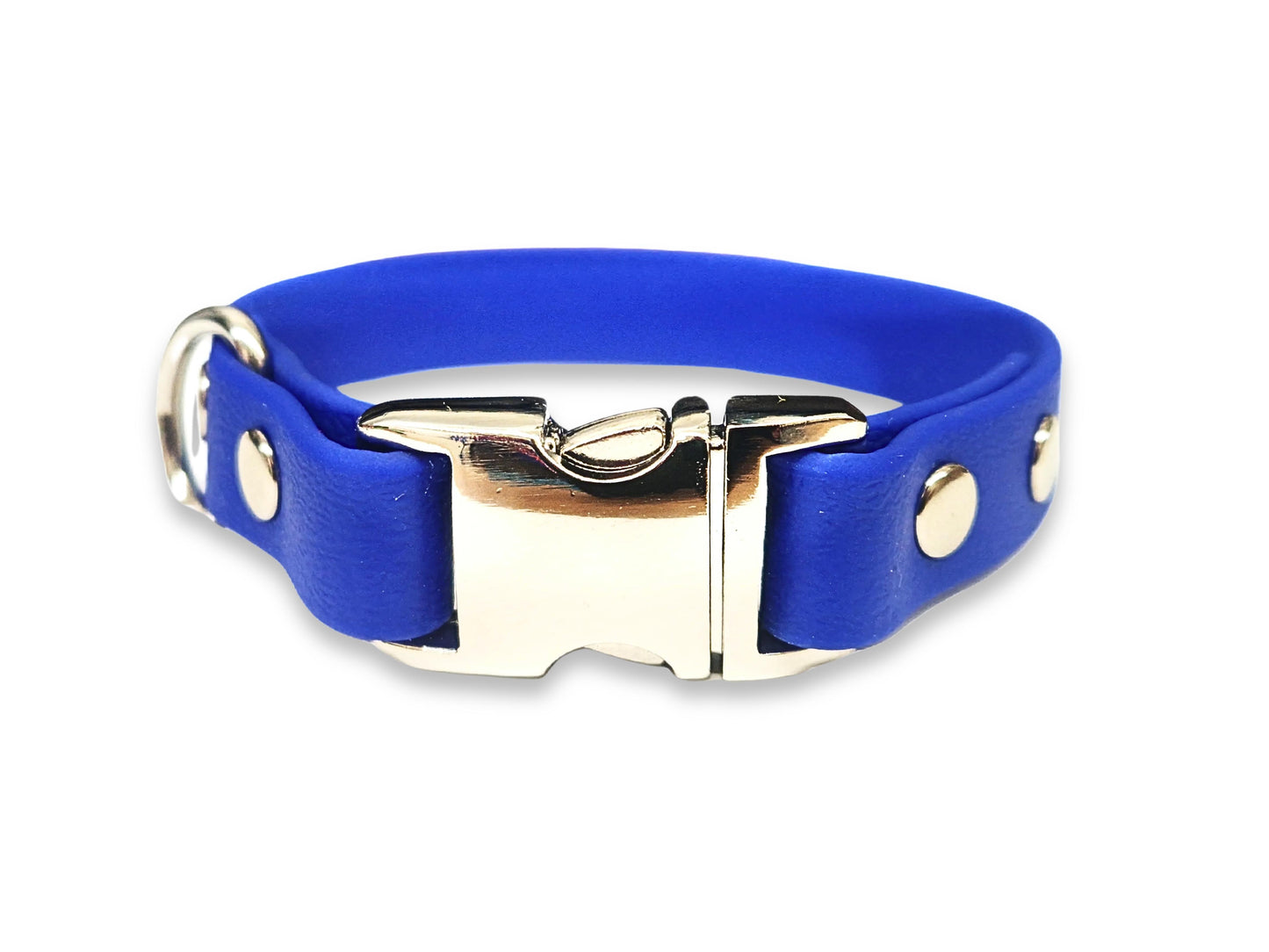 Electric blue waterproof Biothane dog collar for small dogs – lightweight, bold, and easy to maintain