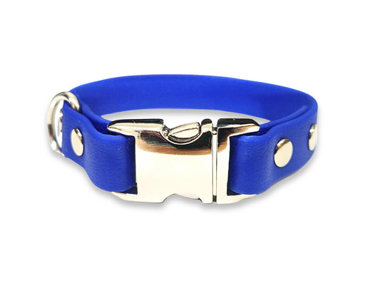 Electric blue waterproof Biothane dog collar for small dogs – lightweight, bold, and easy to maintain