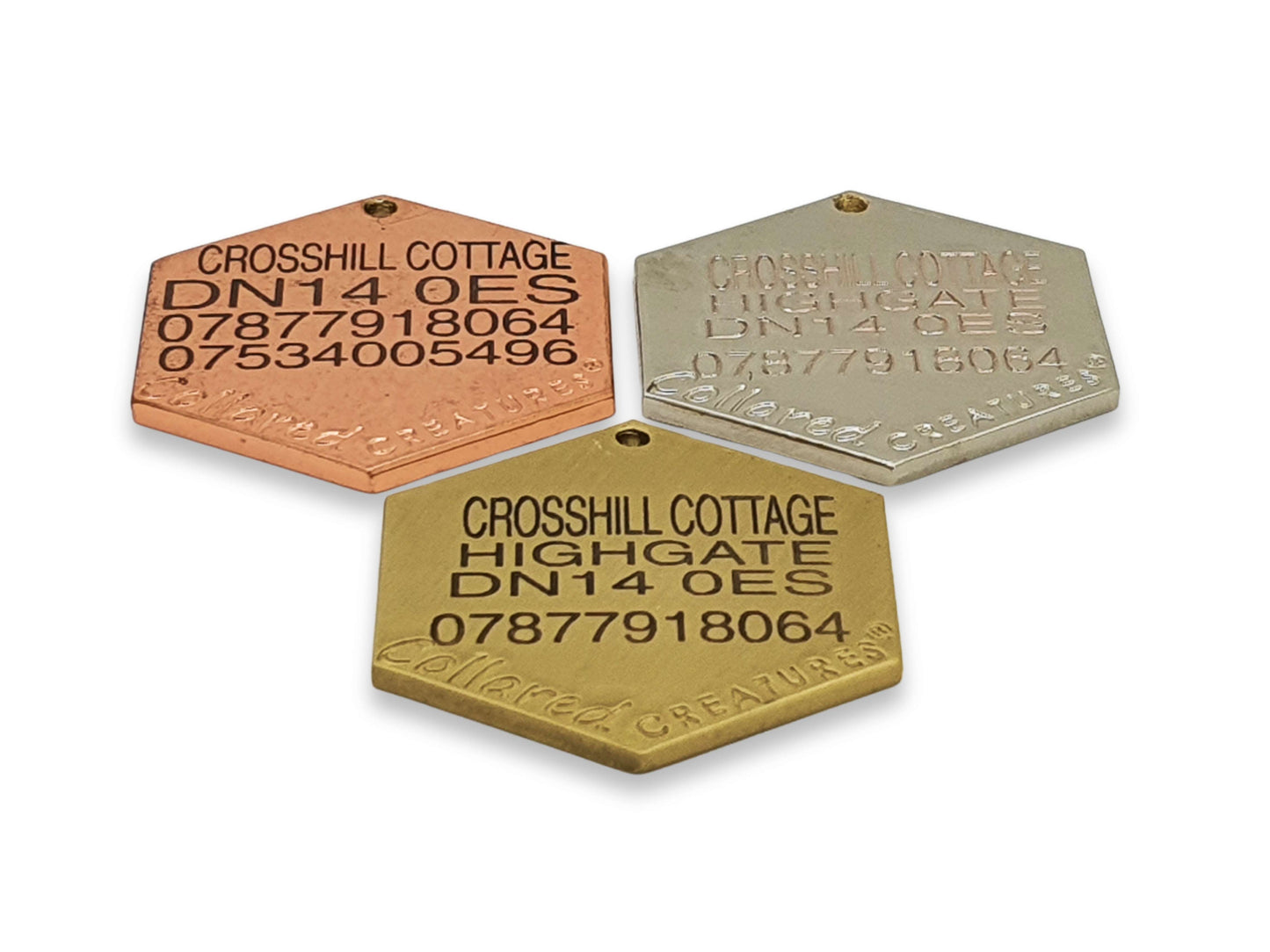 engraved name tag options for collared creatures rope dog collars