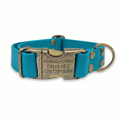 turquoise Blue dog collar with a brass buckle on a white background