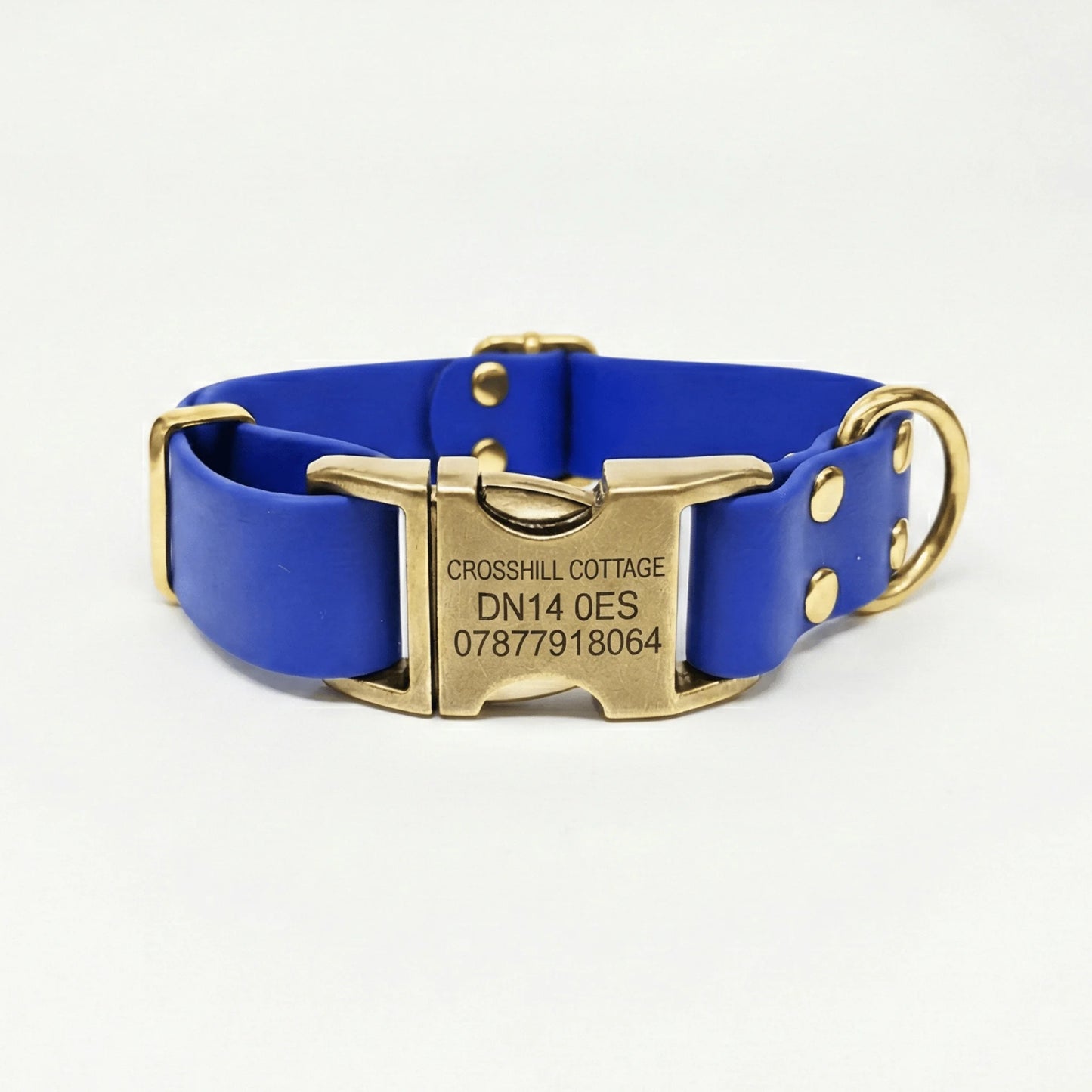 Electric Blue Waterproof Biothane Metal Clasp Dog Collar