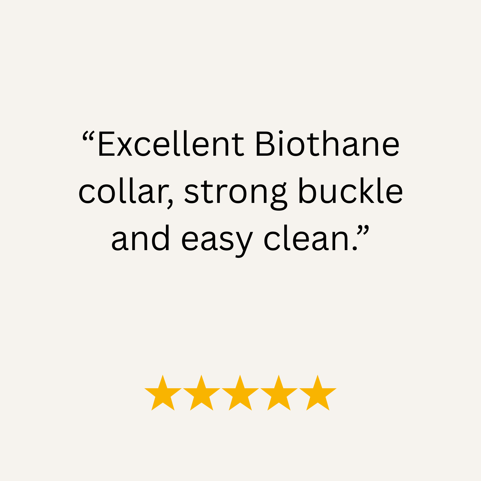 Dark Green Waterproof Biothane Buckle Dog Collar - Collared Creatures LTD