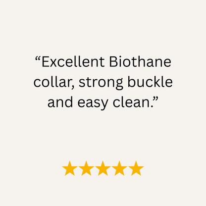 Dark Green Waterproof Biothane Buckle Dog Collar - Collared Creatures LTD