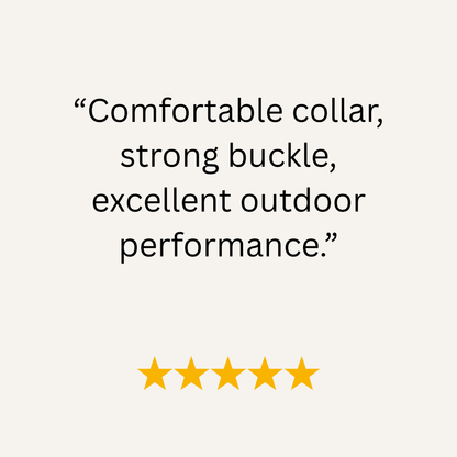 Red Waterproof Biothane Buckle Dog Collar - Collared Creatures LTD