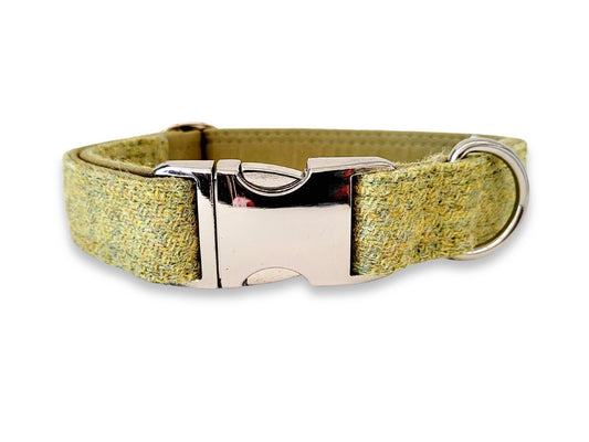 Colourful pear green tweed collar for dogs in 38mm Harris Tweed, soft and strong. Quick release collar for large dogs - Collared Creatures