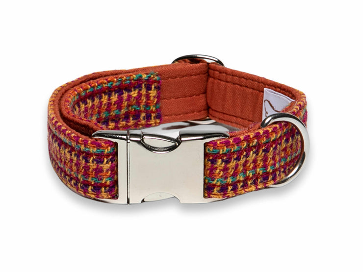 Handcrafted bright & bold Harris Tweed dog collar, UK-made for durability and comfort - Collared Creatures