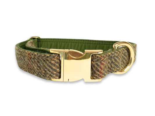 Colourful totally traditional tweed dog collar in extra wide 38mm, perfect for stylish dogs - Collared Creatures
