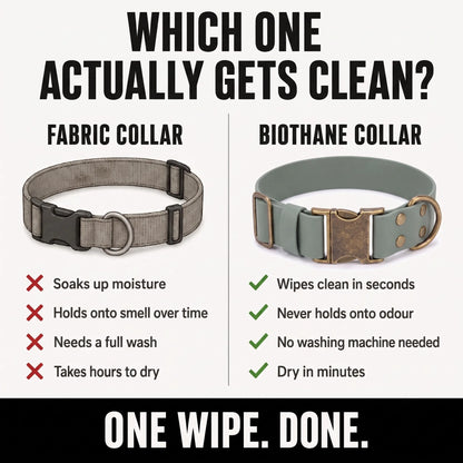 An infographic comparison graphic for dog collars, titled 'WHICH ONE ACTUALLY GETS CLEAN?'. It shows a gray fabric collar on the left with red 'X' marks for disadvantages (soaks up moisture, holds smell, needs washing, takes hours to dry) and a sage green Biothane collar on the right with green checkmarks for advantages (wipes clean in seconds, no odor holding, no washing machine needed, dry in minutes).