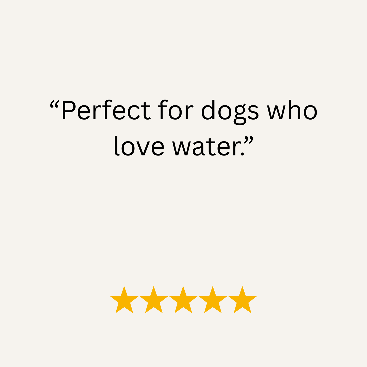 Electric Blue Waterproof Biothane Metal Clasp Dog Collar