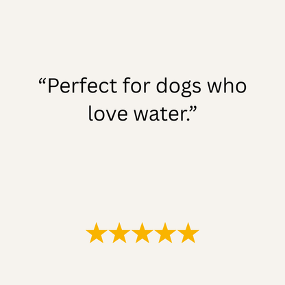 Electric Blue Waterproof Biothane Metal Clasp Dog Collar