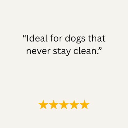 Turquoise Waterproof Biothane Metal Clasp Dog Collar