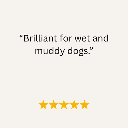 Red Waterproof Biothane Metal Clasp Dog Collar - Collared Creatures LTD