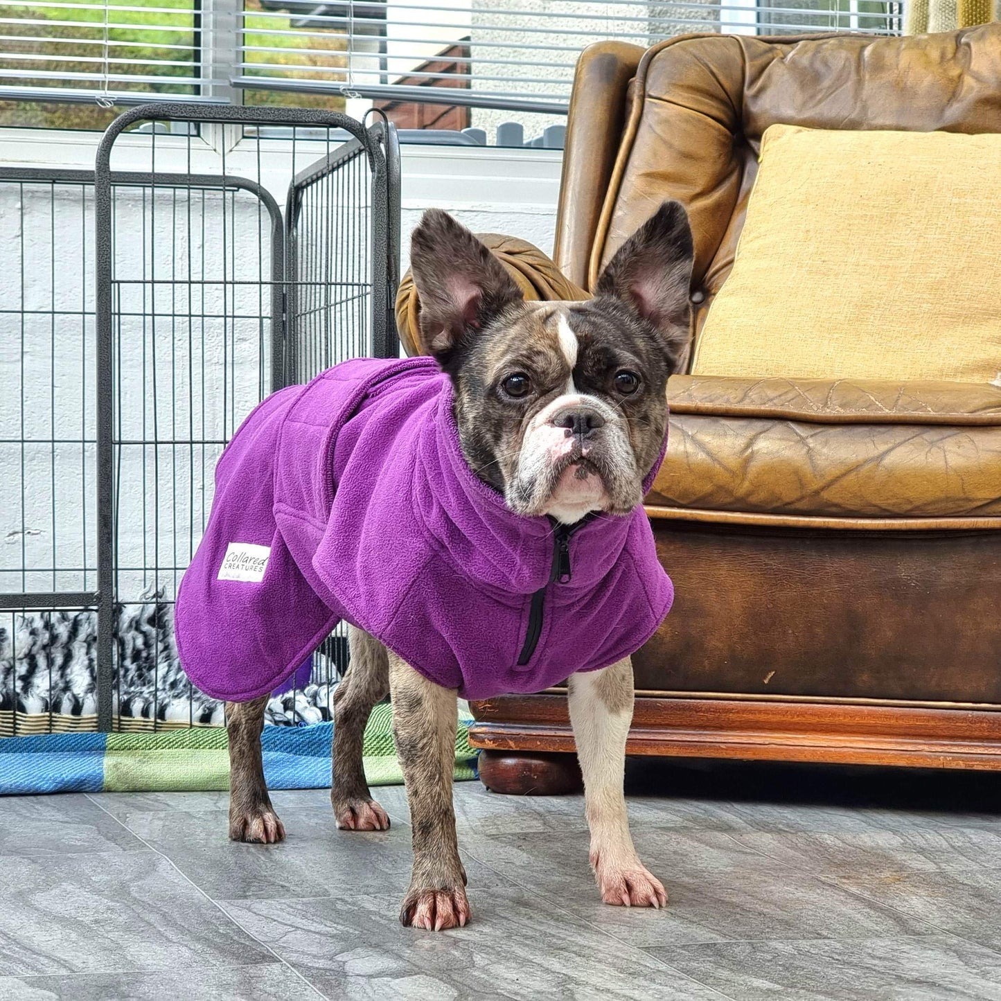 Magenta Perfectly Practical Dog Drying Coat - Collared Creatures LTD