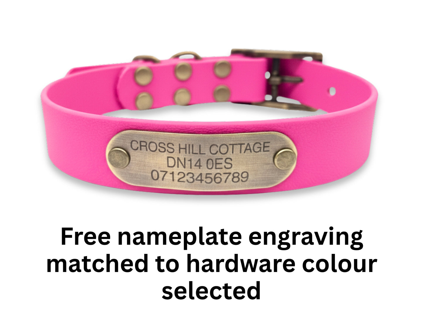 Pink dog collar with a brass nameplate on a white background