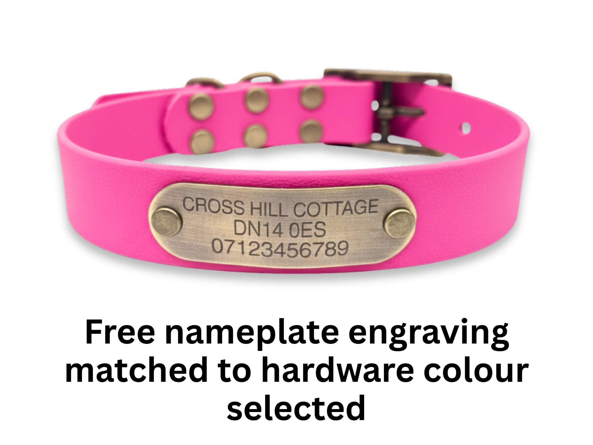 Pink dog collar with a brass nameplate on a white background
