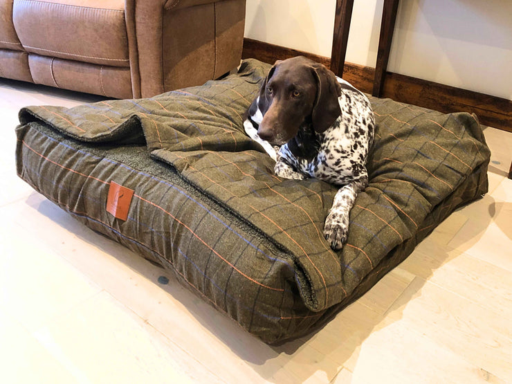 German Shorthaired Pointer resting on Green Tweed Snuggle Bed in cosy living room