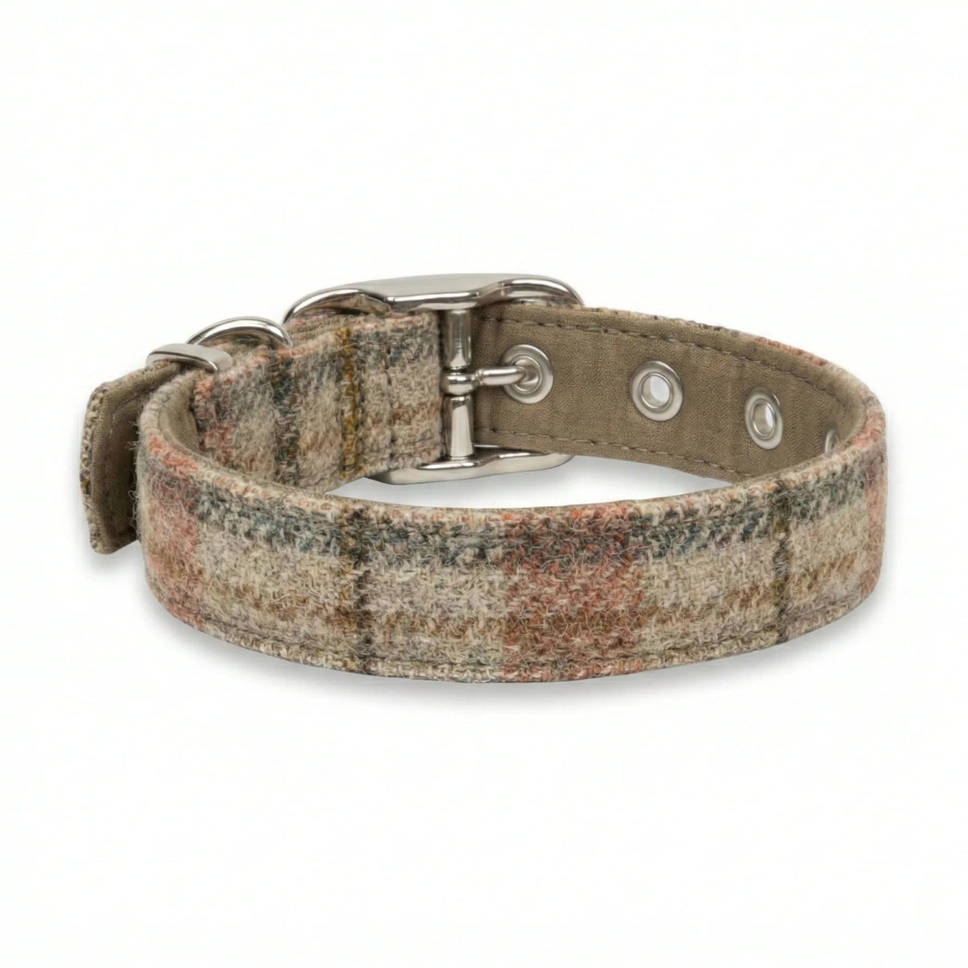 terracotta beige dog buckle collar rear vew