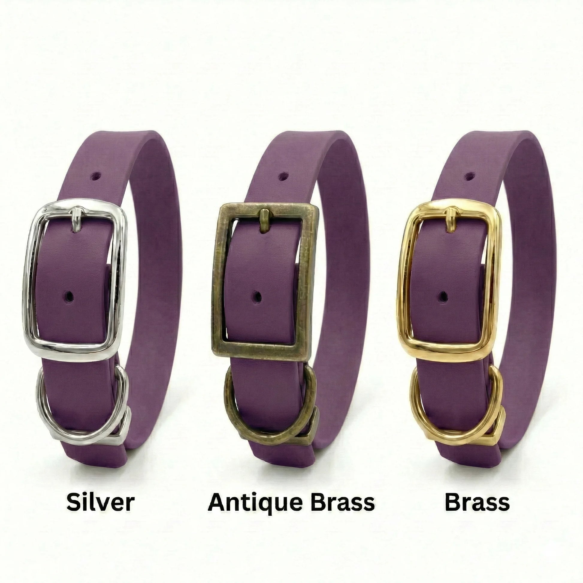Grape Waterproof Biothane Buckle Dog Collar - Collared Creatures LTD