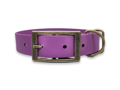 purple biothane brass buckle dog collar on white background