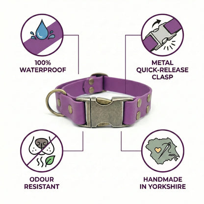 Weintraube Wasserdichtes Biothane Hundehalsband mit Metallschließe