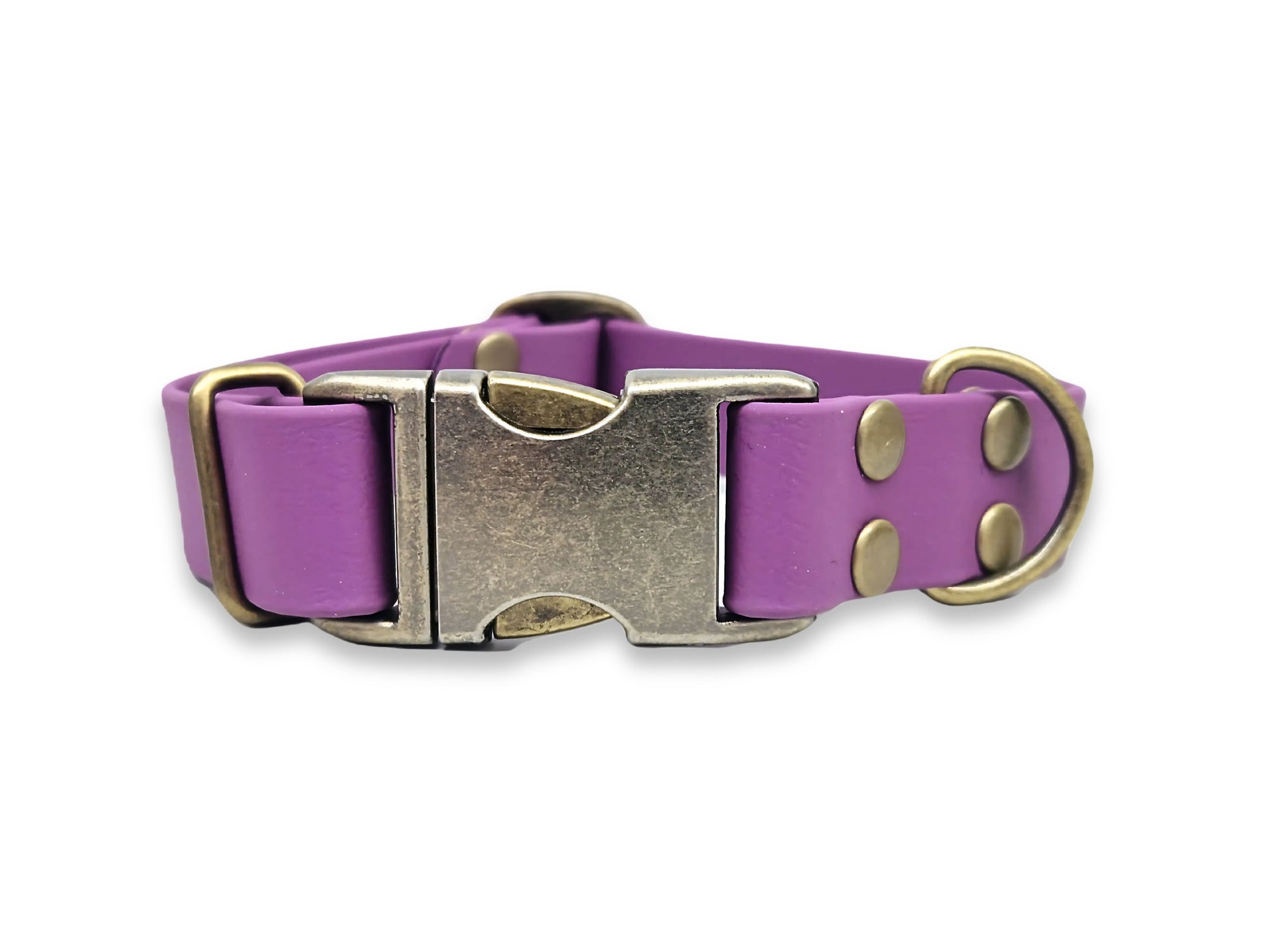 Purple waterproof dog collar with a brass buckle on a white background