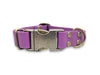Grape Waterproof Biothane Metal Clasp Dog Collar