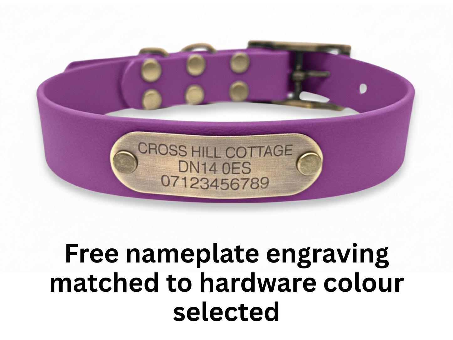 purple grape biothane buckle collar with engraved nameplate on white bg